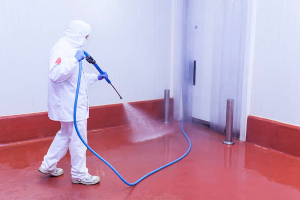 Best Sidewalk and Walkway Pressure Cleaning in Grangeville, ID