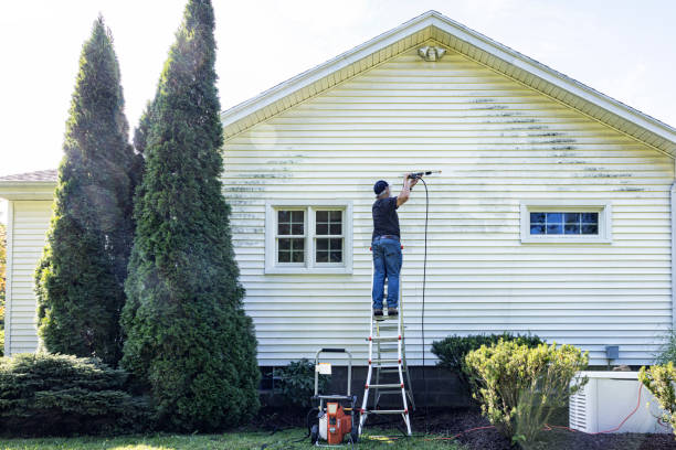 Best Roof Cleaning and Mildew Removal in Grangeville, ID